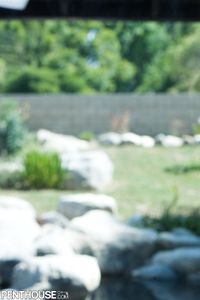 Sophie Dee - Photo 7