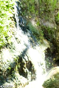 Kelly Divine - Photo 3