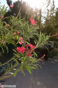 Kimberly Kane - Photo 6