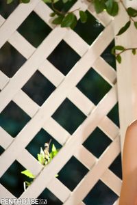 Erica Ellyson - Photo 3