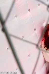 Brooklyn Lee - Photo 4