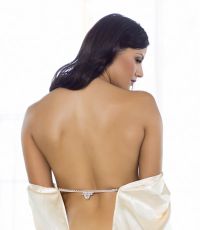 Meridian Counterattack