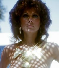 Pet of the Month November 1975