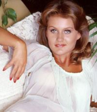 Pet of the Month November 1978 - Extended