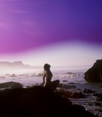 The Penthouse Club Experience