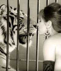 Andi Sue, Pet Detective